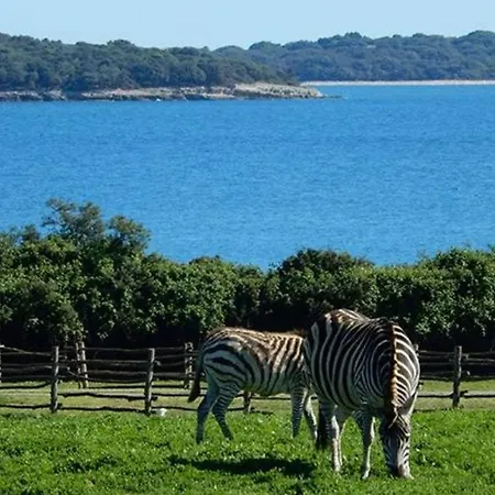 Stinjan Апартаменты